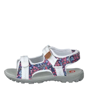 Beetle Blue/multi